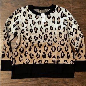 Ann Taylor Sweater Size M